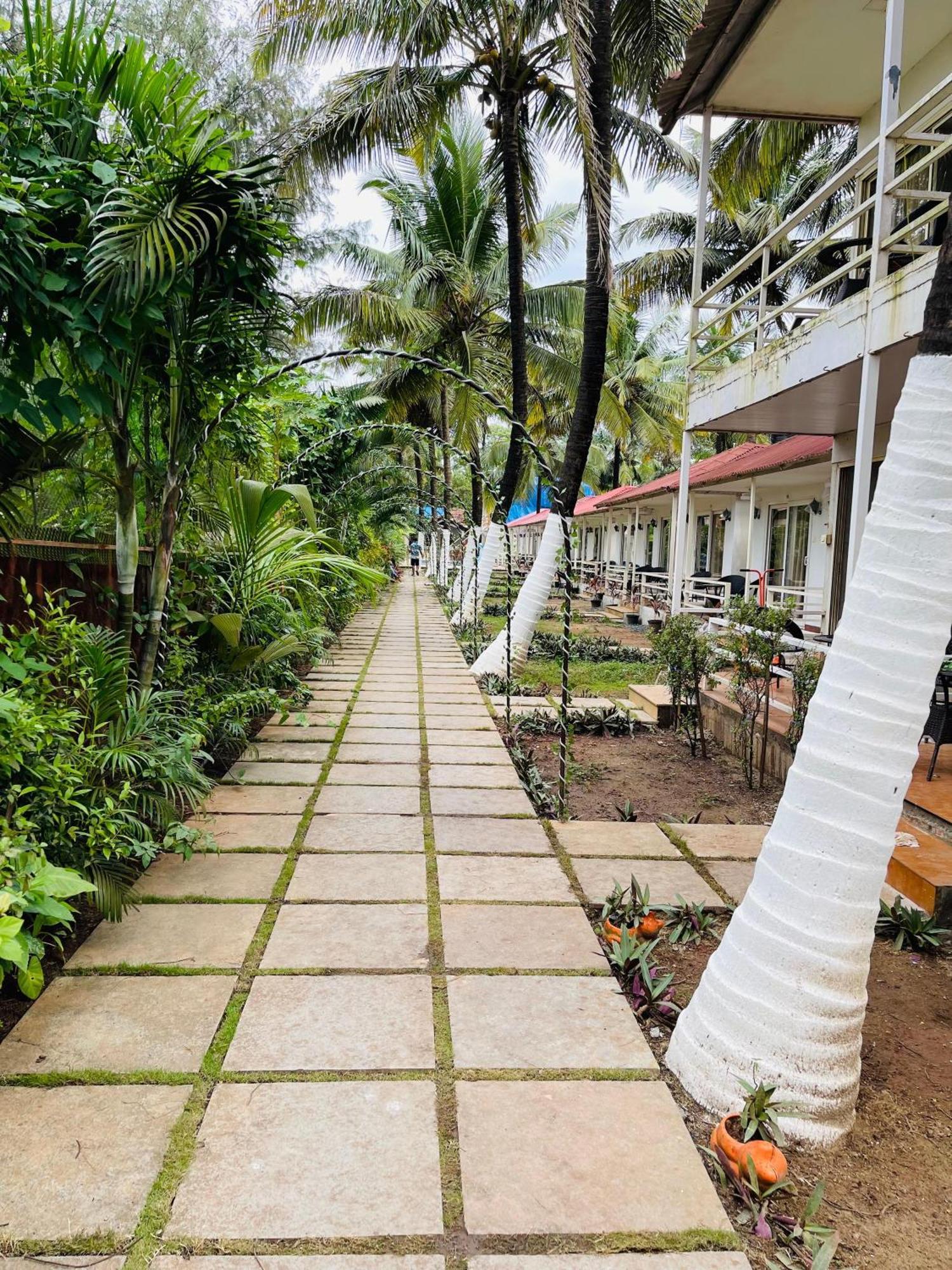 Arabian Sea Beach Resort مورجيم المظهر الخارجي الصورة